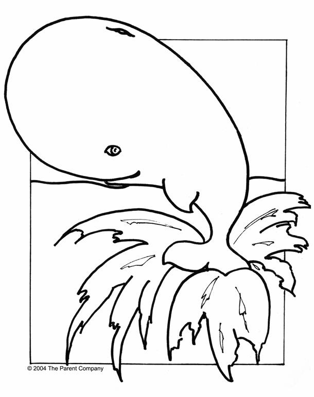 Wspaniały Wieloryb - Kolorowanka dla Dzieci do Druku kolorowanka do druku